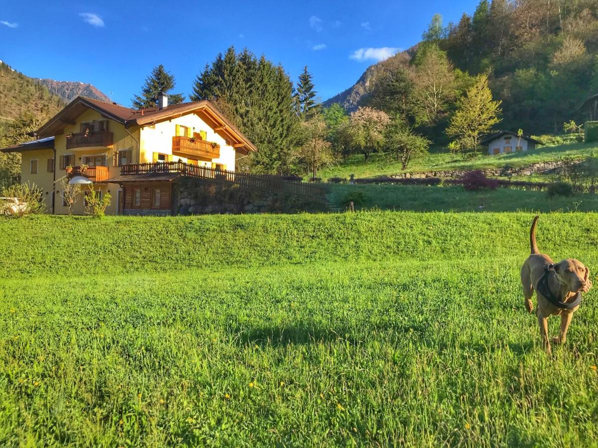 Eco-Baita Natura Spensierata Canal San Bovo Esterno foto
