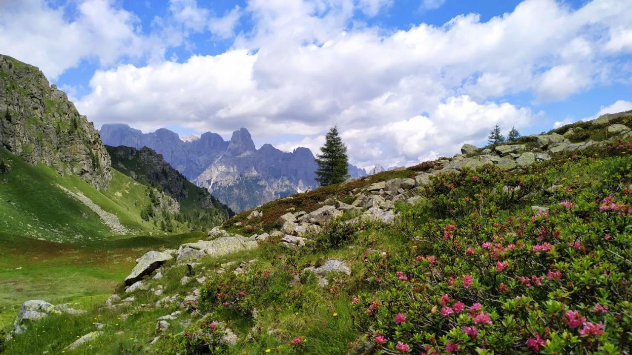 Eco-Baita Natura Spensierata Canal San Bovo Esterno foto