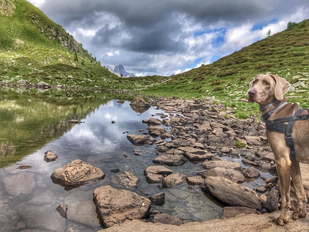 Eco-Baita Natura Spensierata Canal San Bovo Esterno foto