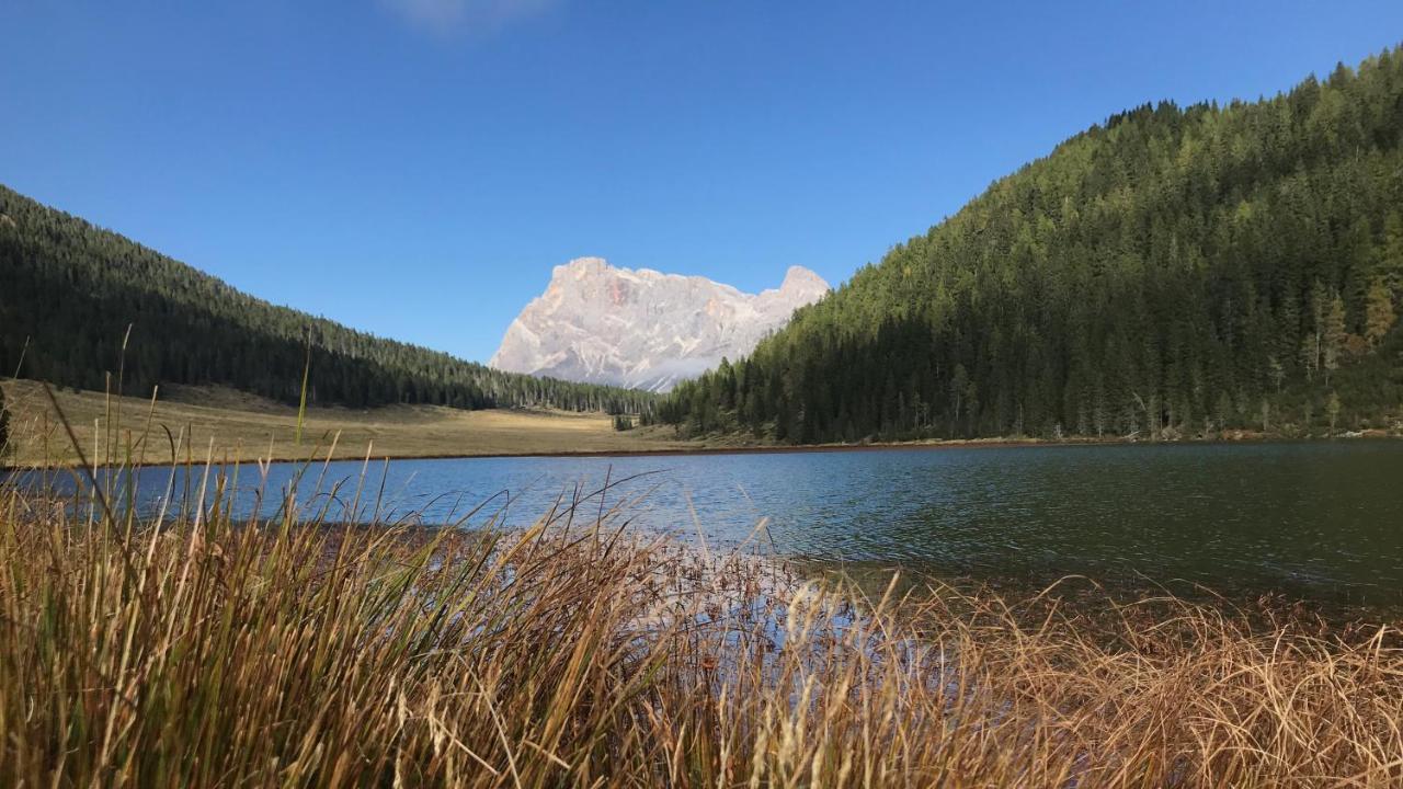 Eco-Baita Natura Spensierata Canal San Bovo Esterno foto
