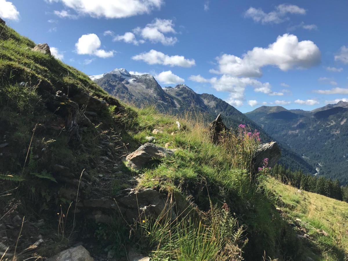 Eco-Baita Natura Spensierata Canal San Bovo Esterno foto