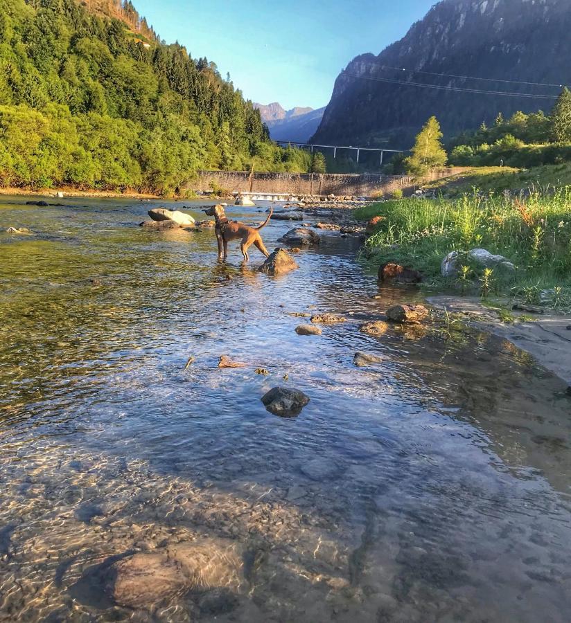 Eco-Baita Natura Spensierata Canal San Bovo Esterno foto