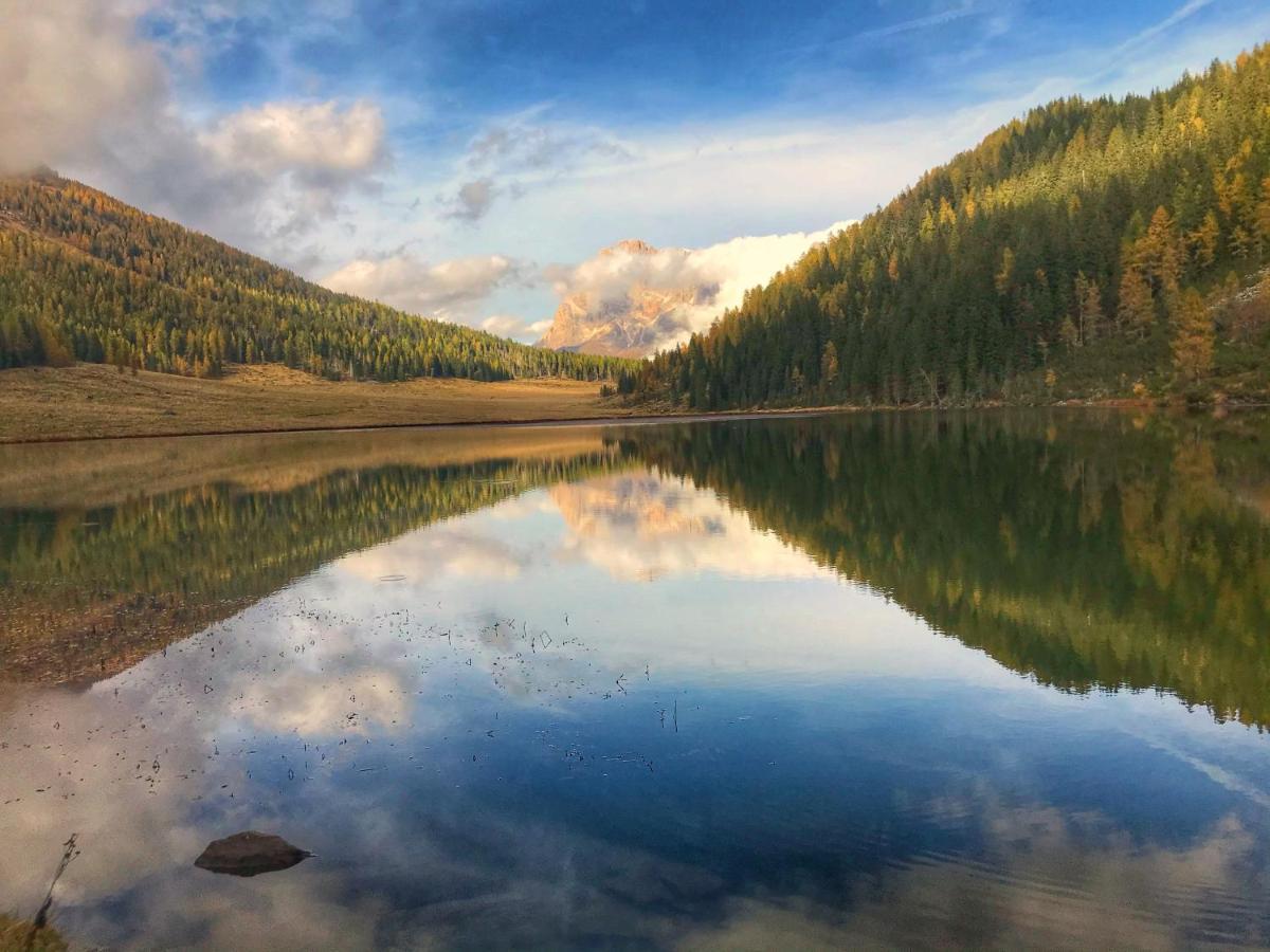 Eco-Baita Natura Spensierata Canal San Bovo Esterno foto