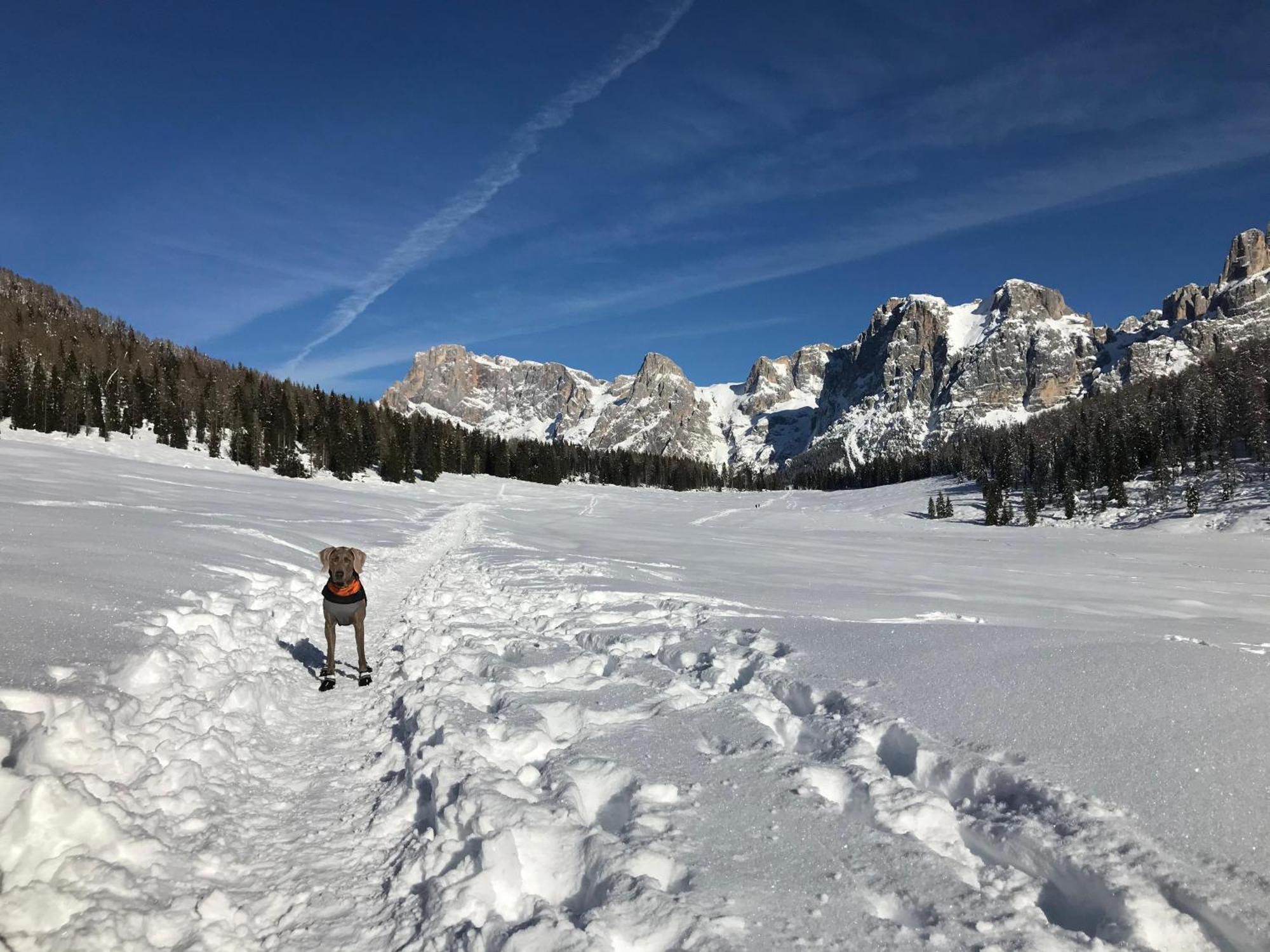 Eco-Baita Natura Spensierata Canal San Bovo Esterno foto