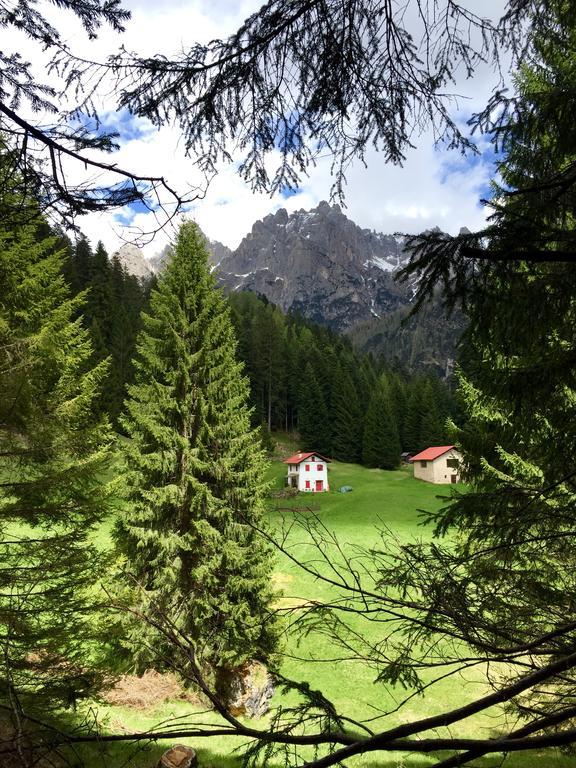 Eco-Baita Natura Spensierata Canal San Bovo Esterno foto