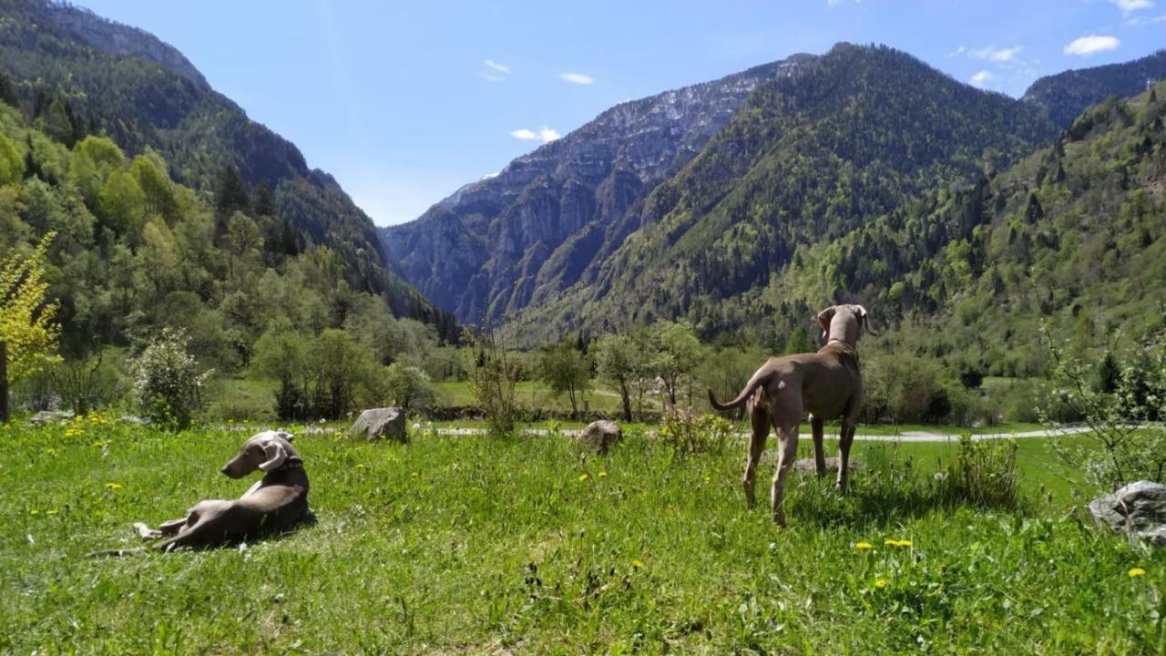 Eco-Baita Natura Spensierata Canal San Bovo Esterno foto